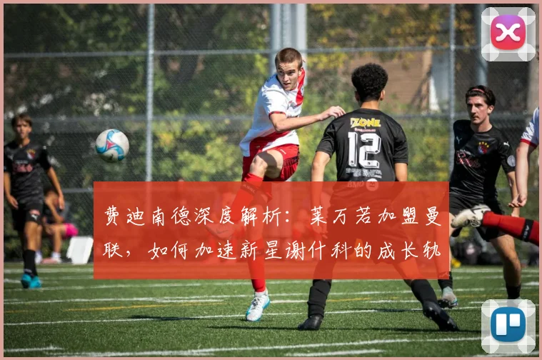 费迪南德深度解析:莱万若加盟曼联,如何加速新星谢什科的成长轨迹?
