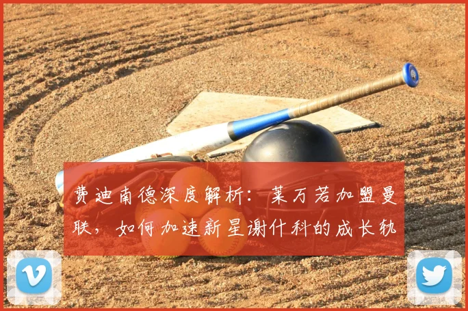 费迪南德深度解析：莱万若加盟曼联，如何加速新星谢什科的成长轨迹？
