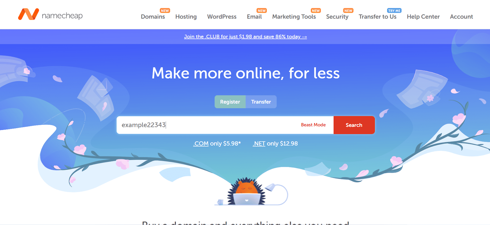 Namecheap domain registration 